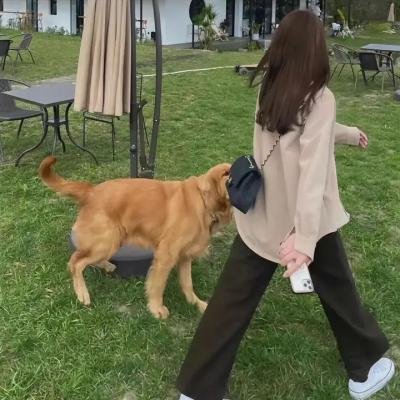 霍拉一家